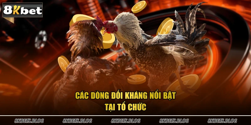 Các dòng đối kháng nổi bật tại tổ chức 