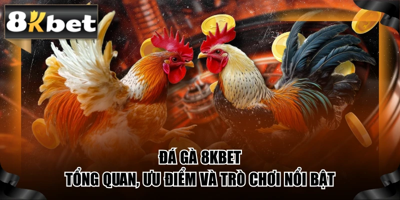Đá Gà 8kbet