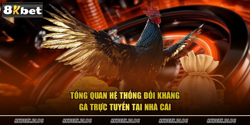 Tổng quan hệ thống đối kháng gà trực tuyến tại nhà cái 