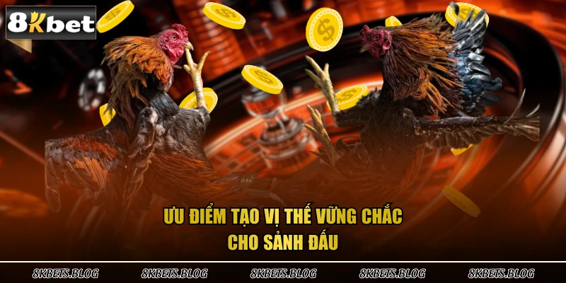 Ưu điểm tạo vị thế vững chắc cho sảnh đấu 